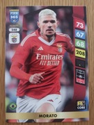 Karta Adrenalyn XL 2025 nr 248