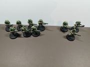 Astra Militarum Cadian Shock Troops