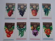 Znaczki polskie czyste z klejem