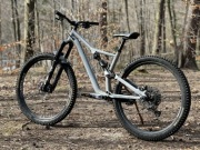 Specialized Stumpjumper 29 L 2019 / Fox36 Grip2 / CaneCreek DBAir / Shigura