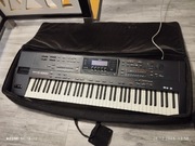 Profesjonalne organy Roland G1000