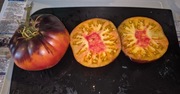 Pomidor Afternoon Delight - 10 nasion kolekcjonerskich arcydzieło !