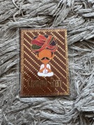 Magnes na lodówkę Indie Radżastan