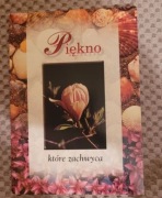 Zbiór poezji Piękno które zachwyca