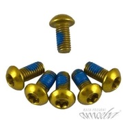Śruby Amoeba do tarczy hamulca DBB-SS 12szt gold