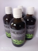 GALANGAL wyciąg z korzenia wzmocnij swój organizm