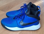 Buty do koszykówki Nike Team Hustle D 9