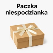 Paczka ubrań damskich 