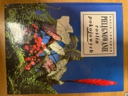 Pielęgnowanie Roślin Pokojowych Longman  