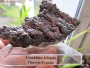 Goethyt z iryzacją - duży okaz na podstawce