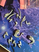 3x Hive Guards METAL    