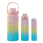 ZESTAW 3 BUTELEK NA WODĘ BIDONY 0.3L 1L 2L