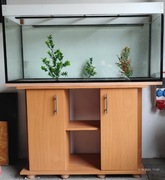 Akwarium 200l. Z szafka