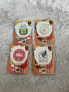 karty FIFA world cup qatar2022 logo Argentyna