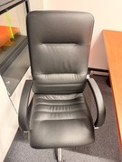 Fotel biurowy Nowy Styl Fotel Linea (skóra naturalna)