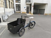 Rower Cargo Triobike Hafnia
