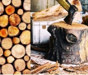 Drzewo Drewno opalowe kominkowe Fak.vat