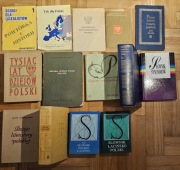 Zestaw: słowniki łacińskie, polskie, historia, filozofia, literatura