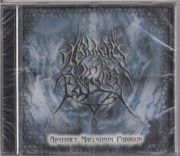 HIDDEN IN THE FOG - Abstract Maelstrom Paragon