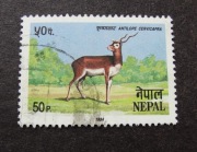 35b3 # Azja Nepal 1984- dzikie zwierzęta  Antylopa