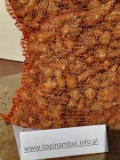 TOPINAMBUR EKOLOGICZNY ŚWIEŻA BULWA DELIKATNA Z NASZEGO GOSPODARSTWA 29KG D