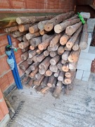 stemple budowlane 200 szt. - 285-290cm