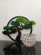 Drzewko bonsai z mchu