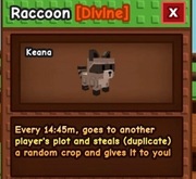 Raccoon |  Grow a Garden | Roblox | Exclusive Pet