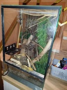 Terrarium + 2 gekony + wyposażenie 
