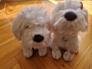 2 pieski interaktywne śpiewają razem