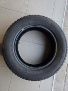 Dębica Frigo 2 175/65 R14