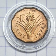 #3928 Eswatini (Suazi) 1 cent 1974 UNC