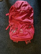 Plecak trekkingowy Osprey Skarab 22 