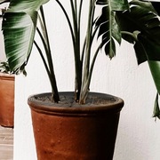 Pokrywa Pot Pokrywa Gleby dla Kwiatu  52,00X52,00X0,50 cm/20,44X20,44X0,20