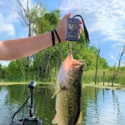 Waga cyfrowa do 50 kg .