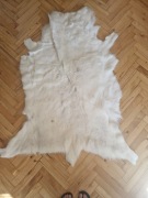 Skóra z renifera albionosa 