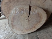 Plaster Drewna BUK 61/44/9 cm Blat Stolik Żywica DIY Wysuszony