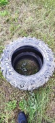 Opony terenowe maxxis bighorn