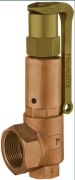 DSV 25-6,0 DGH Zawór bezpieczeństwa DN 25, 6,0 bar, brąz,