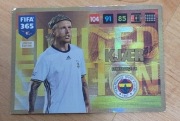 Karta Kjaer FENERBAHÇE SK Limited Edition 2017