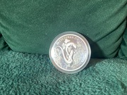 Jaszczurka Zielona 20 zł 2009r