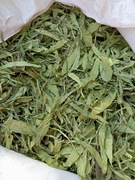 Liść ziele babka lancetowata 2000 g 2 kg 1000