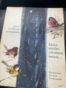 Idzie niebo ciemna nocą 