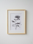 Grafika "Sosna" w ramie - Reprodukcja sygnowana