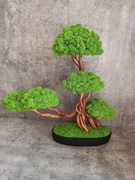 Dekoracja do domu, biura. Drzewko Bonsai.Mech Chrobotek. Prezent. 
