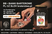 WALUTY UZDROWISKOWE 1/4 uncji w srebrze obiegowym na zdrowie z ngo.pl