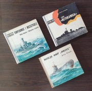 ORP Orzeł, Blyskawica, torpedowce i niszczyciele 