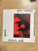 Twinkle Brothers - Breaking down the barriers