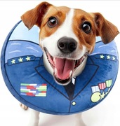  SuplutuX Nadmuchiwany kołnierz dla psa r. M