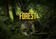 The Forest - Gra konto